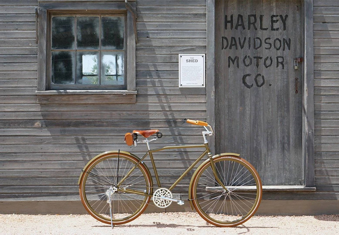 Harley-Davidson    (  )