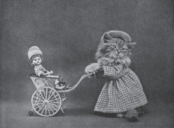 Рози Царапкина выгуливает Дженни