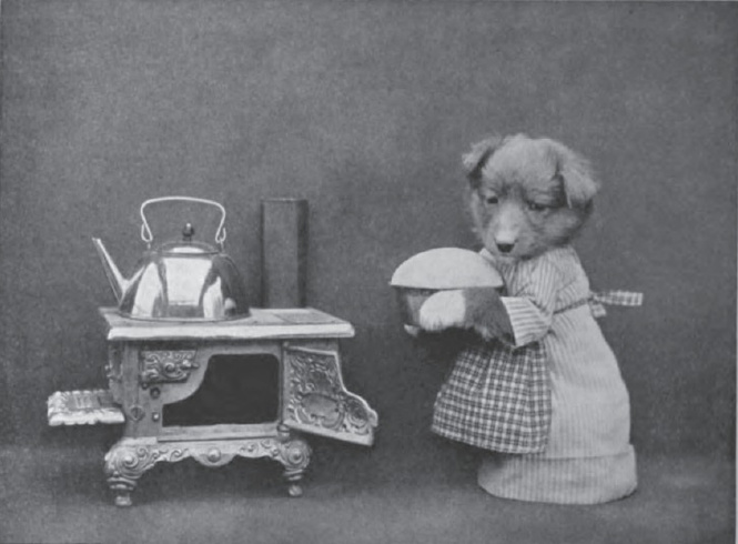 Пустолайка занята на кухне