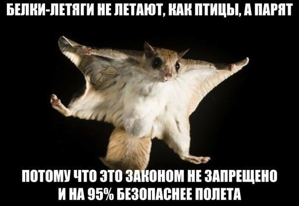 Лучшие шутки про вейперов Лучшие шутки про вейперов