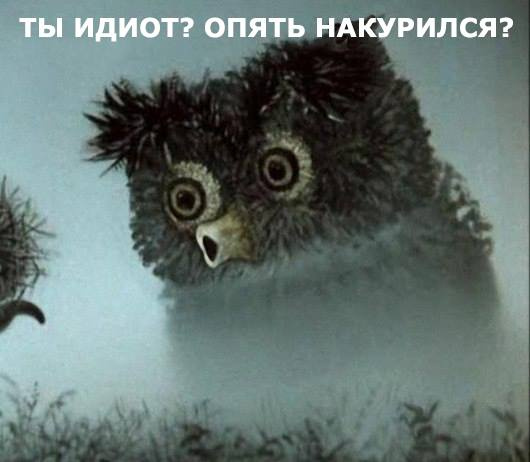 Лучшие шутки про вейперов Лучшие шутки про вейперов