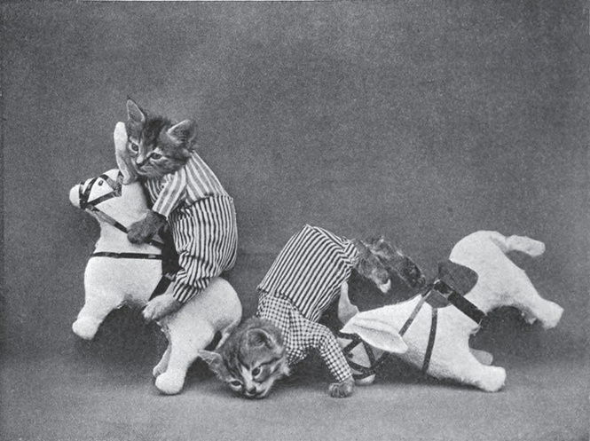 Близнецы Царапкины играют