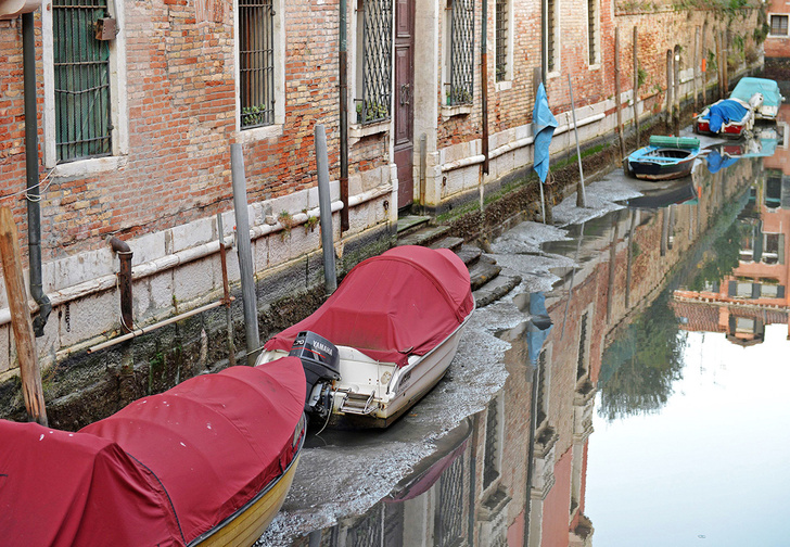 Полюбуйся (с содроганием), как выглядят улицы Венеции без воды!