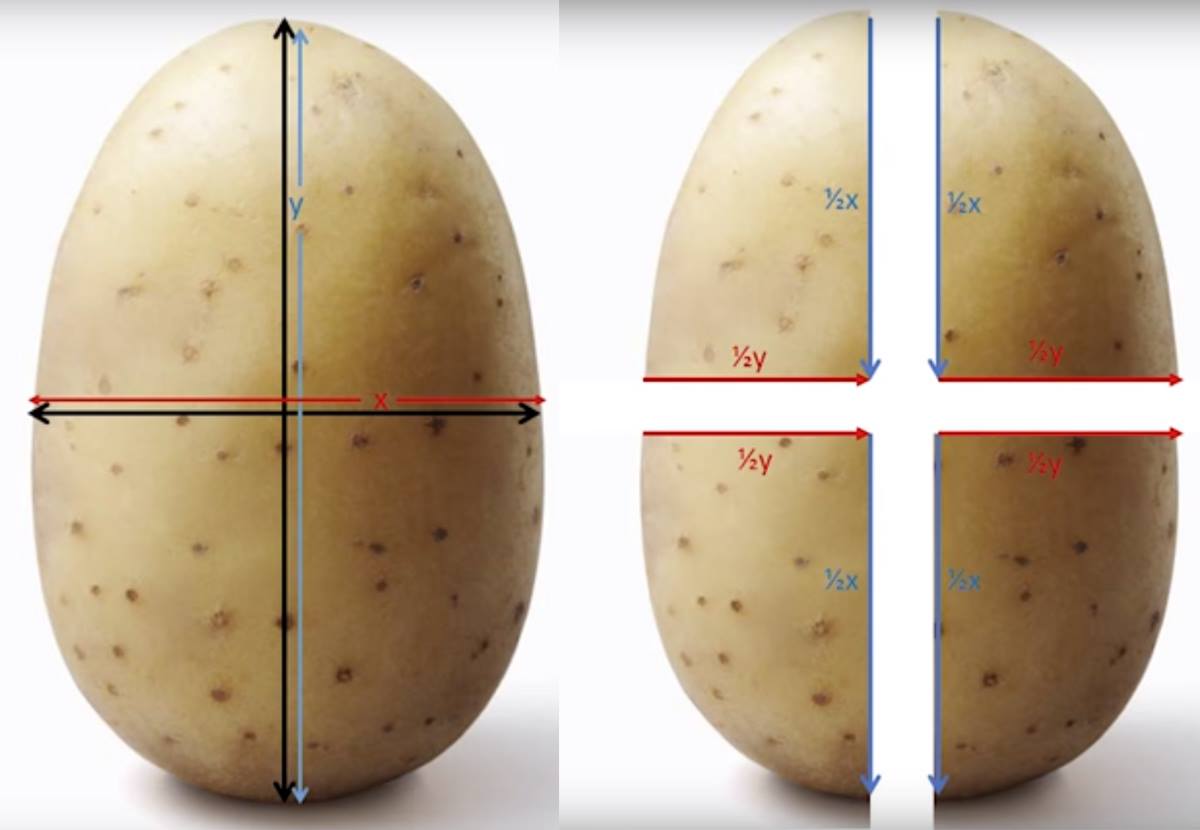 Необходимые инструменты для рубки картошки на сельском образе: