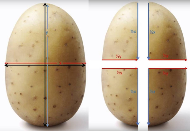 Фото №1 - Как резать картошку, чтобы получилась идеальная хрустящая корочка (математический метод)