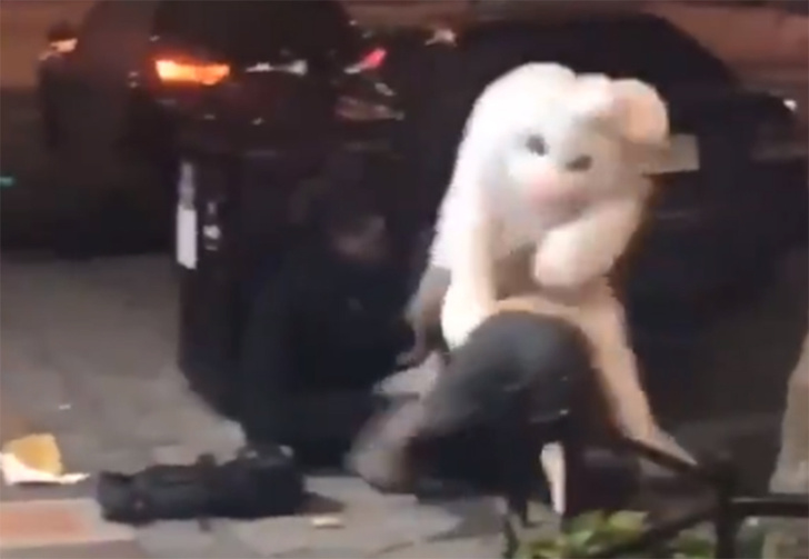 Во Флориде прохожего избил человек в костюме пасхального кролика (видео)