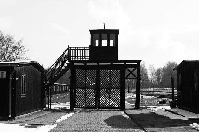 Еврейская общественность требует объяснить, почему в газовой камере концлагеря голые люди играют в салки Еврейская общественность требует объяснить, почему в газовой камере концлагеря голые люди играют в салки