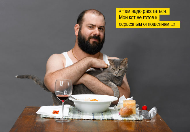 Пушистая чума XXI века. Как коты захватили мир и Интернет Пушистая чума XXI века. Как коты захватили мир и Интернет