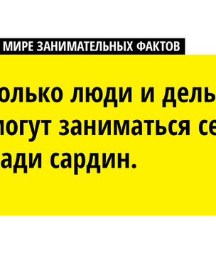 В мире невыносимо занимательных фактов