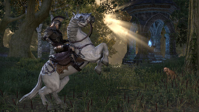 5 причин потратить все деньги на онлайн-игру The Elder Scrolls Online 5 причин потратить все деньги на онлайн-игру The Elder Scrolls Online