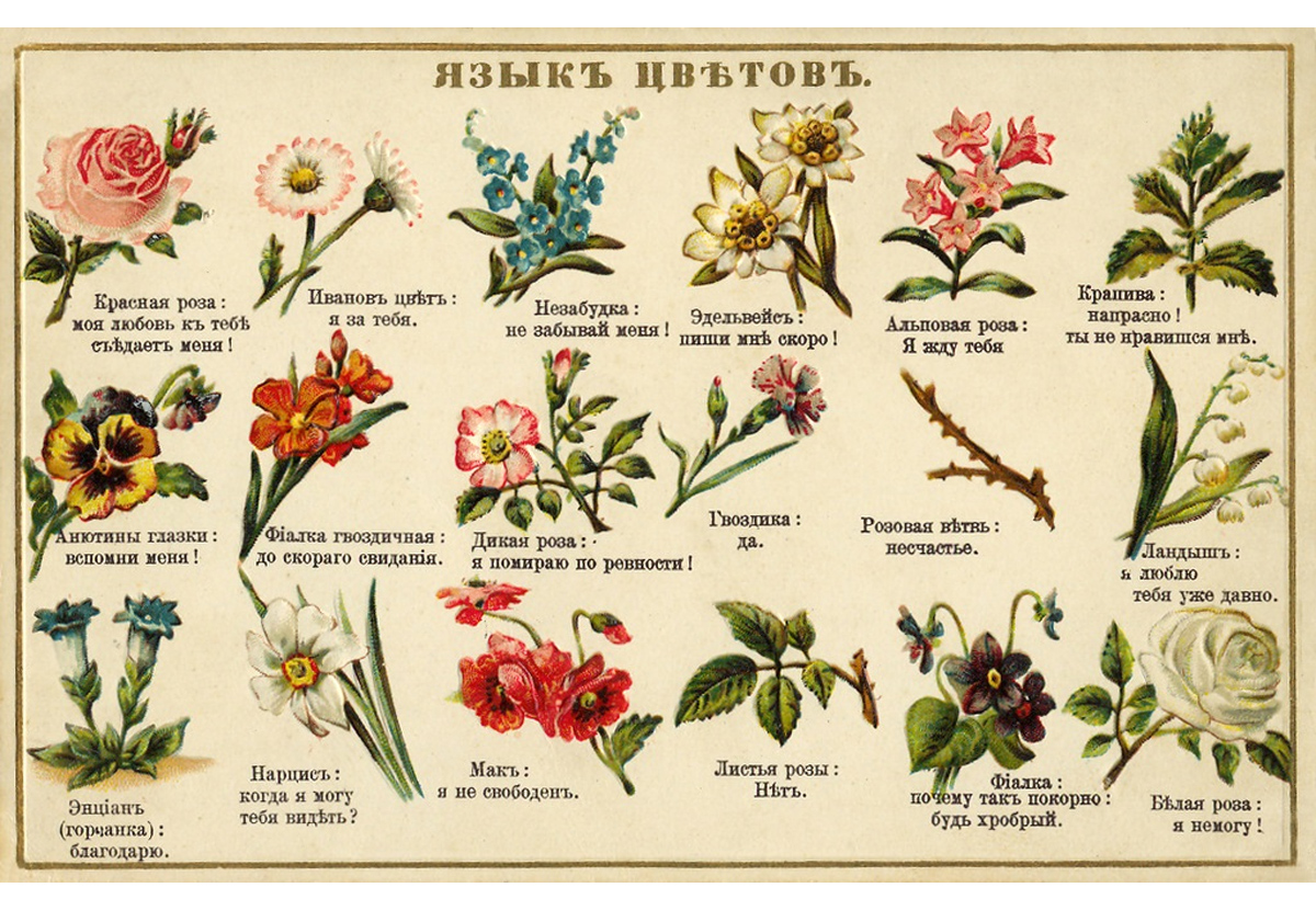 Язык растений и цветов