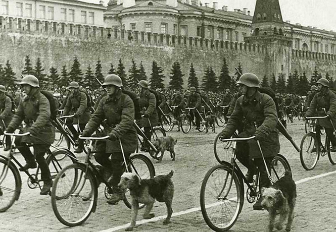 Непридуманная история велосипедных войск Непридуманная история велосипедных войск