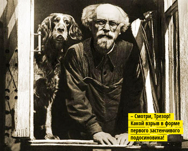 – Смотри, Трезор! Какой взрыв в форме первого застенчивого подосиновика! – Смотри, Трезор! Какой взрыв в форме первого застенчивого подосиновика!