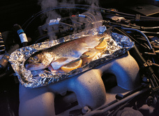 Форель под капотом: как приготовить рыбу на двигателе автомобиля