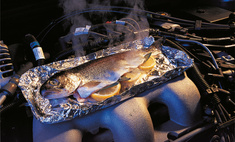 Форель под капотом: как приготовить рыбу на двигателе автомобиля