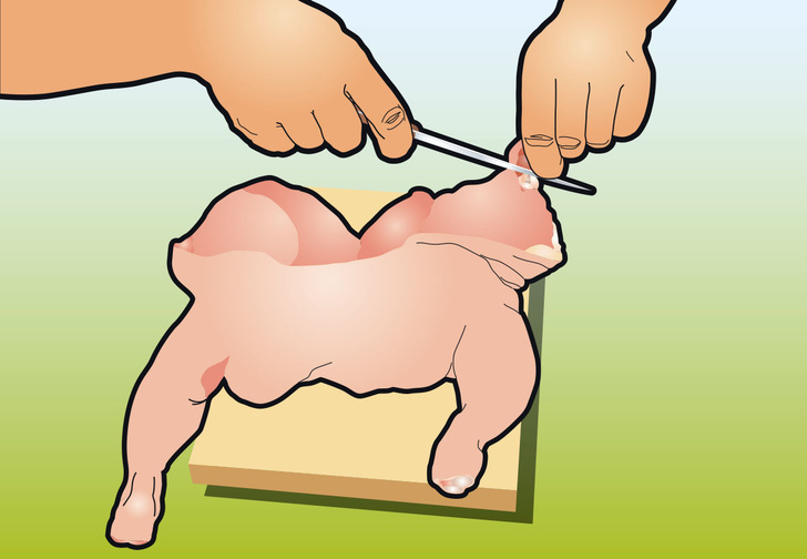 Как вытащить все кости из курицы: инструкция в картинках