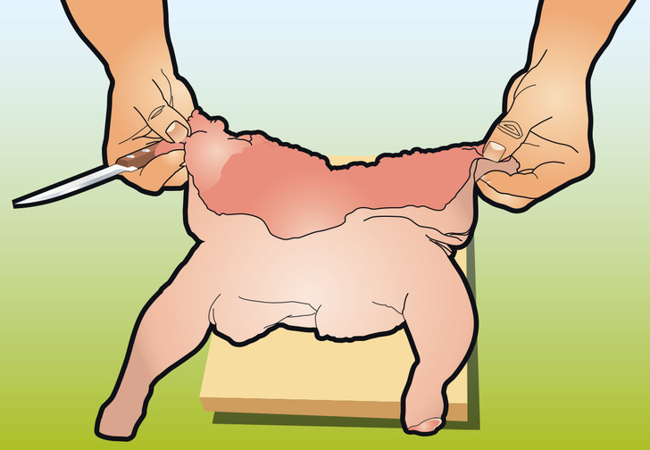 Фото №6 - Как вытащить все кости из курицы: инструкция в картинках