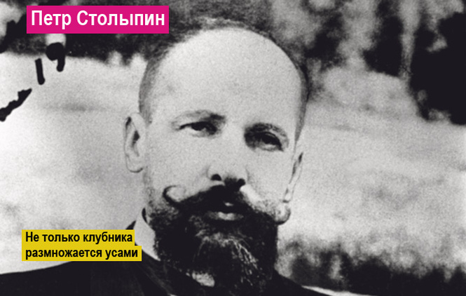 15 самых циничных фраз за всю историю человечества 15 самых циничных фраз за всю историю человечества