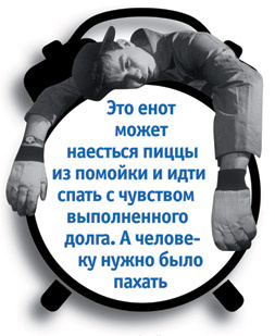 Проснись и спи. Как высыпаться за 4 часа в сутки Проснись и спи. Как высыпаться за 4 часа в сутки