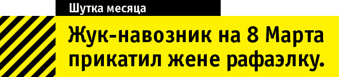 Лучшие анекдоты 2015 года