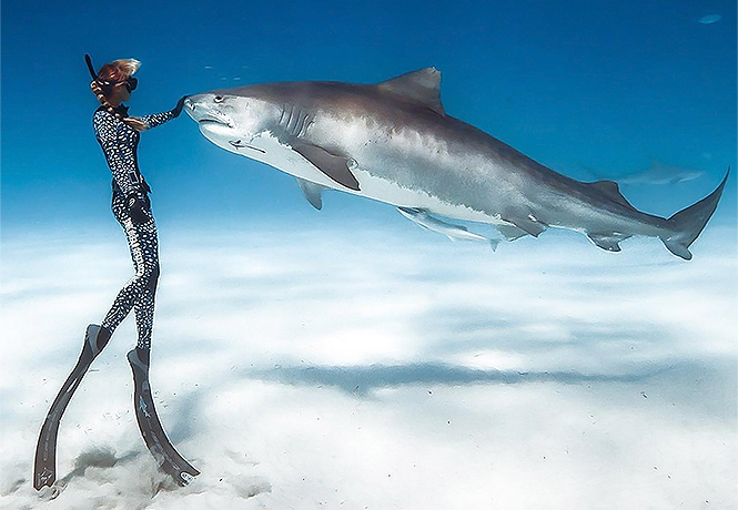 Девушки и акулы: фотографии Хуана Олифанта