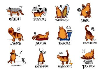 Мемы недели: ВДВ, гороскопы, Ваенга Мемы недели: ВДВ, гороскопы, Ваенга