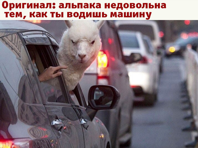 Лучшие фотожабы года! Лучшие фотожабы года!