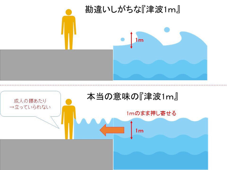 Насколько опасно цунами высотой один метр (видео)
