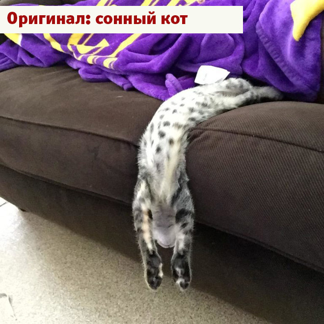 Лучшие фотожабы года! Лучшие фотожабы года!