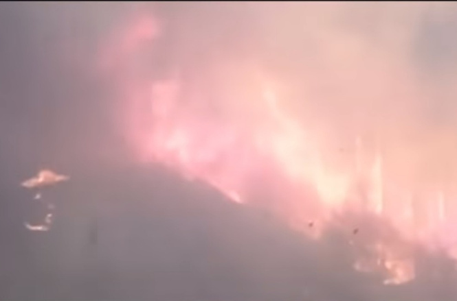 ВИДЕО из ада: поезд мчит сквозь полыхающий лес! ВИДЕО из ада: поезд мчит сквозь полыхающий лес!