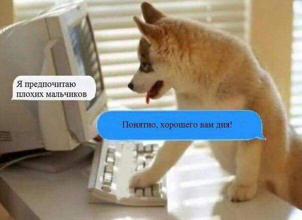 Самые смешные картинки недели Самые смешные картинки недели