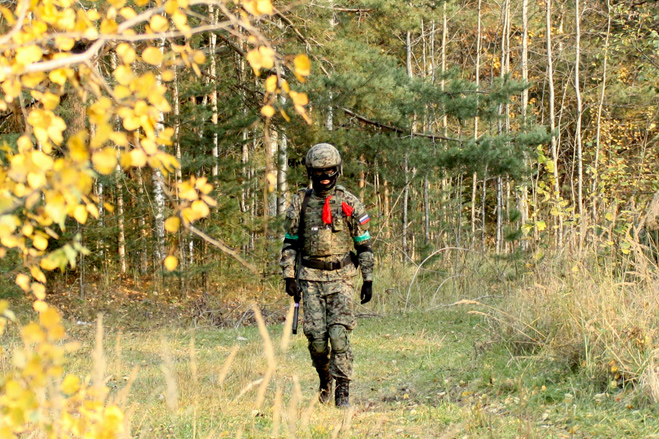 Боевые картинки двача