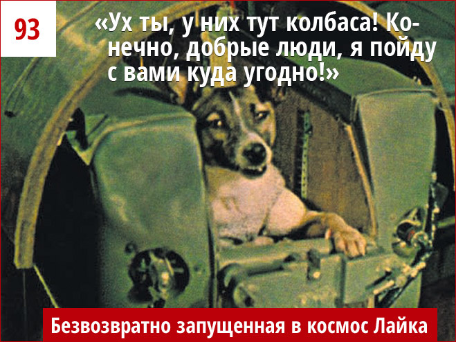 Лайка Лайка