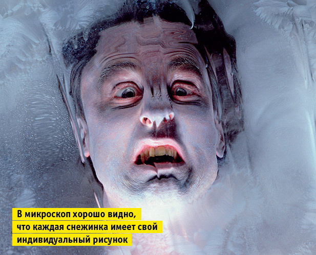 Если бы пупок Если бы пупок