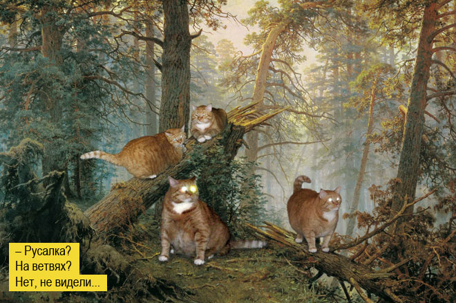 Пушистая чума XXI века. Как коты захватили мир и Интернет 304