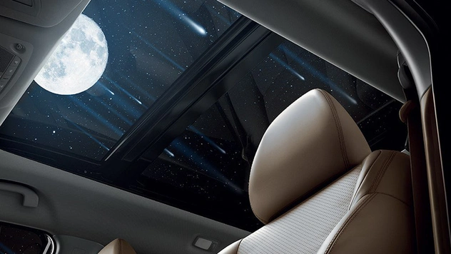 За место под солнцем