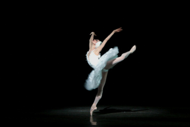 Фото №5 - Шесть посланий человечества в космос