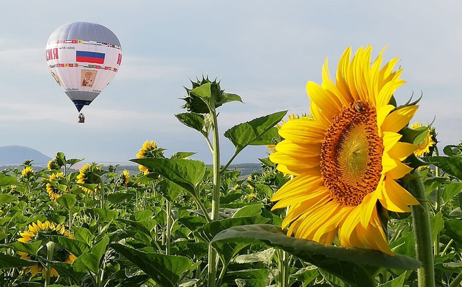 Совершен рекордный перелет через Эльбрус на тепловом аэростате Совершен рекордный перелет через Эльбрус на тепловом аэростате