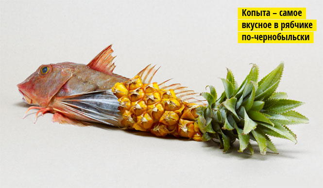 Хромосомный напор Хромосомный напор