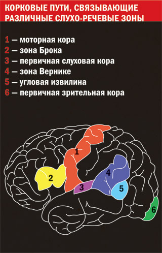 Новое про чтение, или Почему читающие люди редко становятся алкоголиками и наркоманами Новое про чтение, или Почему читающие люди редко становятся алкоголиками и наркоманами
