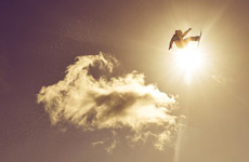 Фото №1 - Quiksilver New Star Invitational
