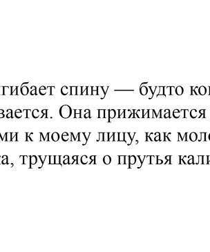 Выбрано лучшее описание секса в литературе!