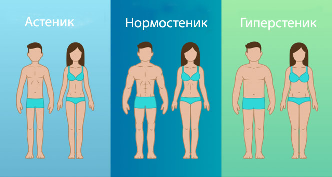 Простой лайфхак, как узнать тип своего телосложения Простой лайфхак, как узнать тип своего телосложения