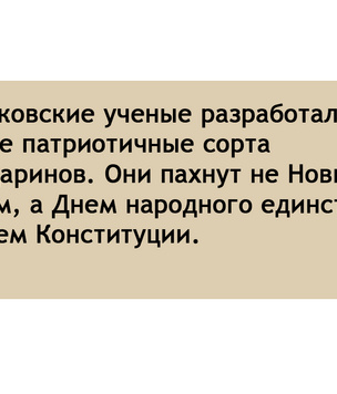 Новый год шатает по стране: 9 предновогодних новостей «Комсомольского комсомольца»