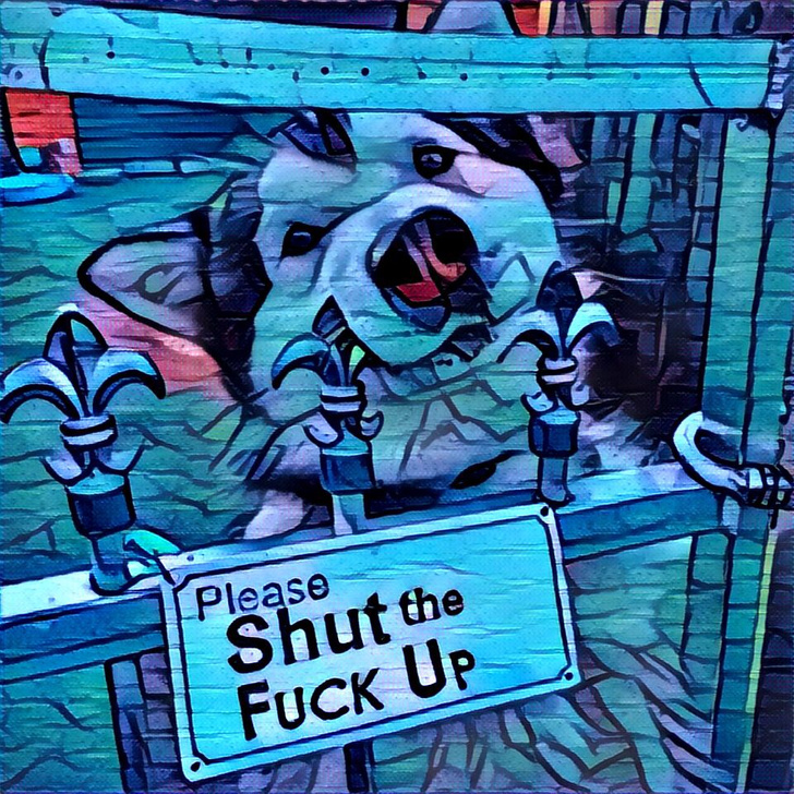 Фото, пропущенное через Prisma
