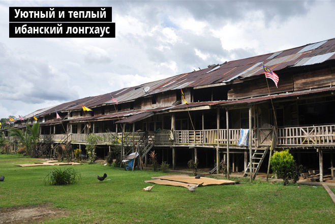 Уютный и теплый ибанский лонгхаус Уютный и теплый ибанский лонгхаус