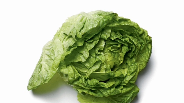 К латуку приучен. Как вкусно приготовить рукколу, айсберг и прочую полезную траву