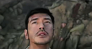 Кровавая зебра войны. Как новый фильм о Второй мировой превратил Джона Ву в китайского Михалкова-Толстого