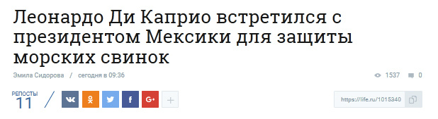 Новостной портал L!FE перепутал китов с морскими свинками Новостной портал L!FE перепутал китов с морскими свинками