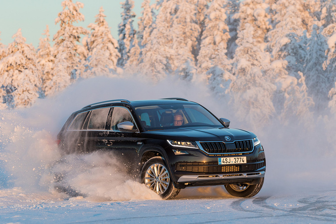 Skoda Kodiaq: на охоту с медведем Skoda Kodiaq: на охоту с медведем